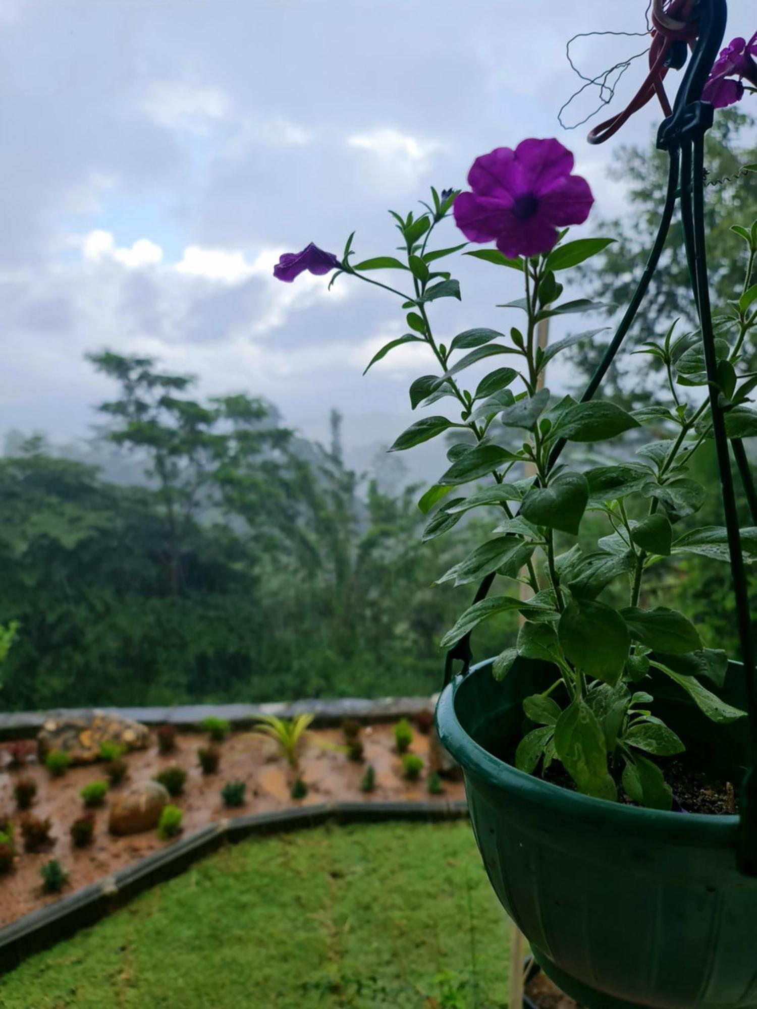 Hello Kandy Homestay Eksteriør bilde