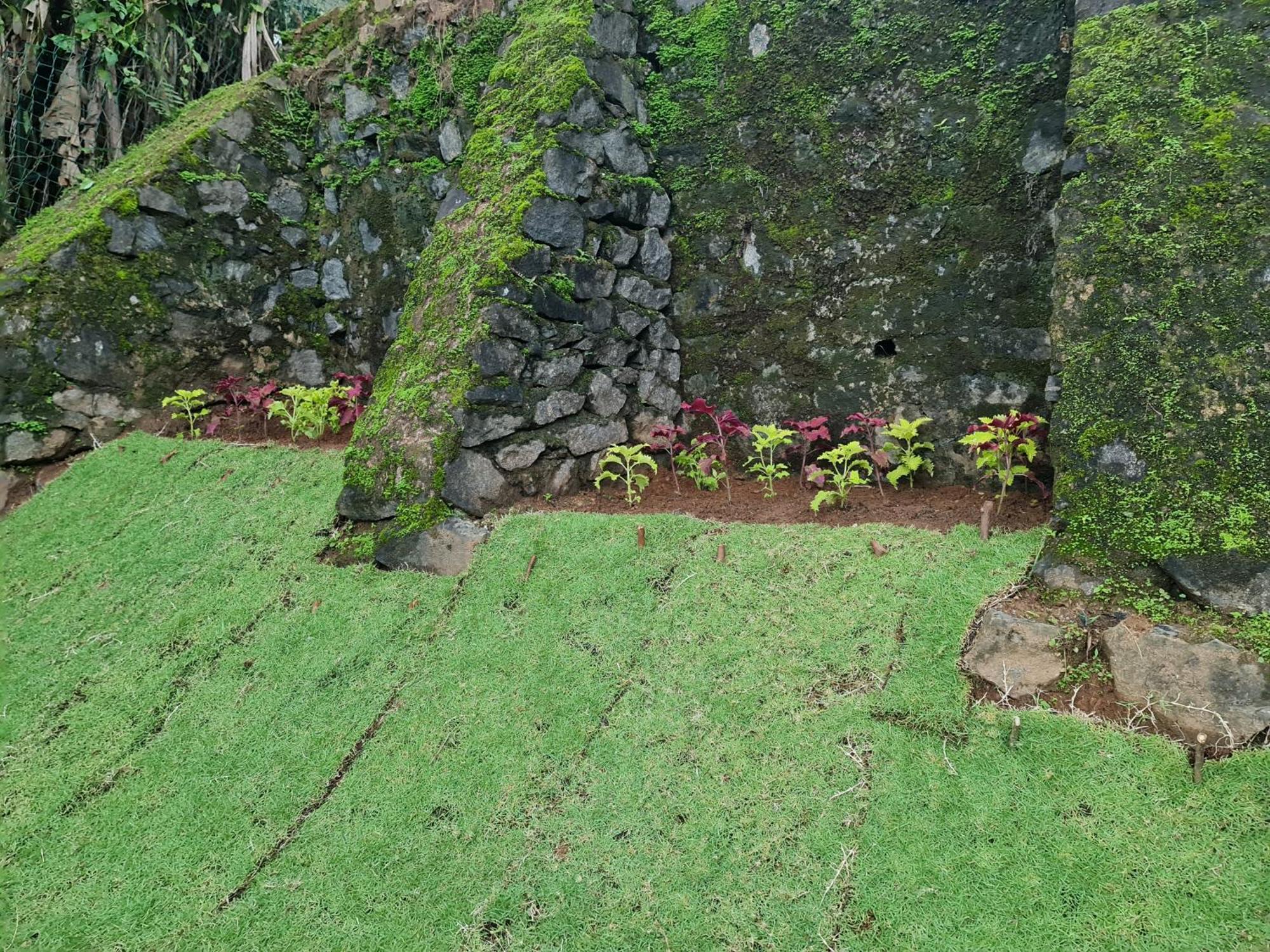 Hello Kandy Homestay Eksteriør bilde