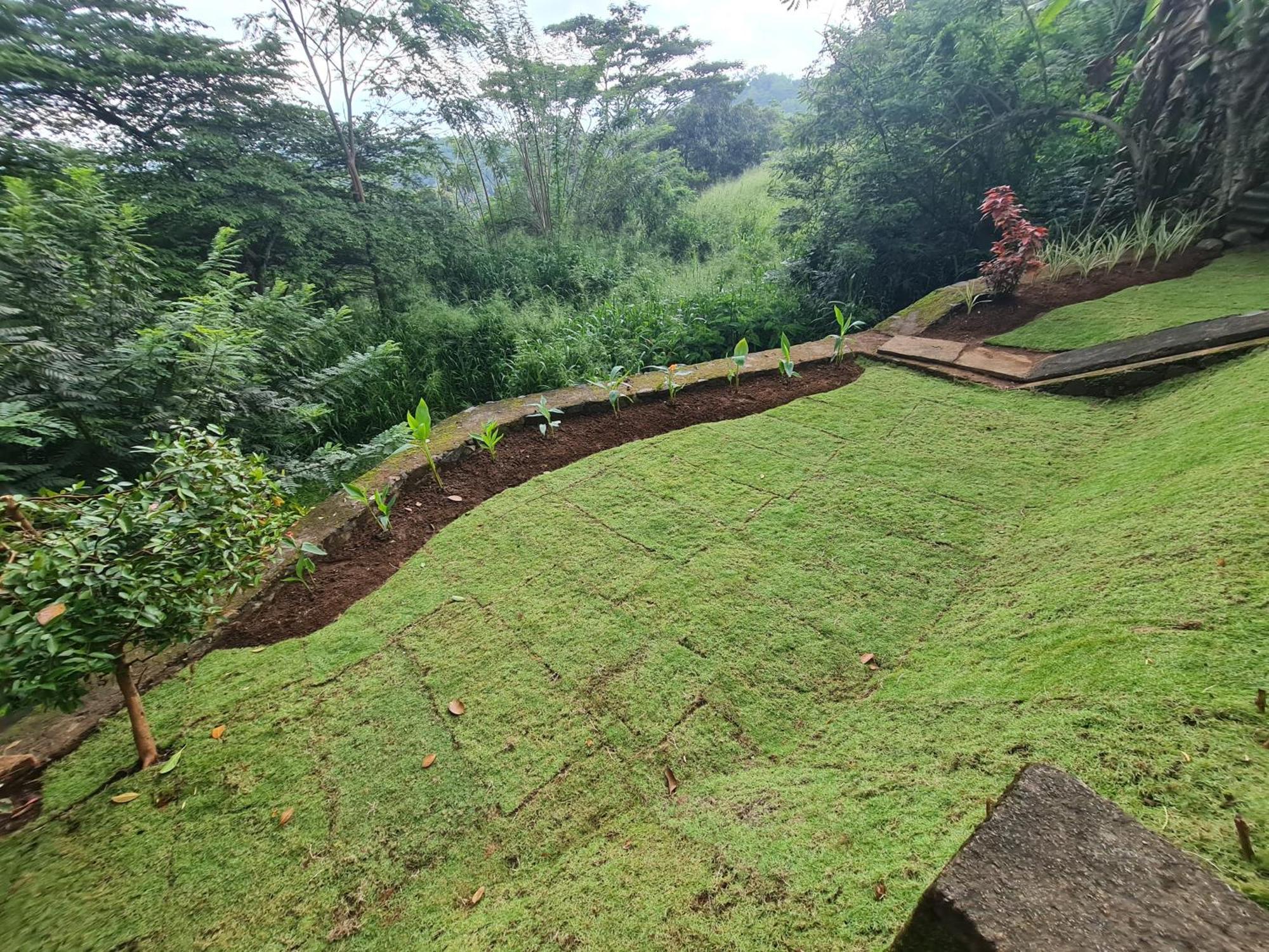 Hello Kandy Homestay Eksteriør bilde